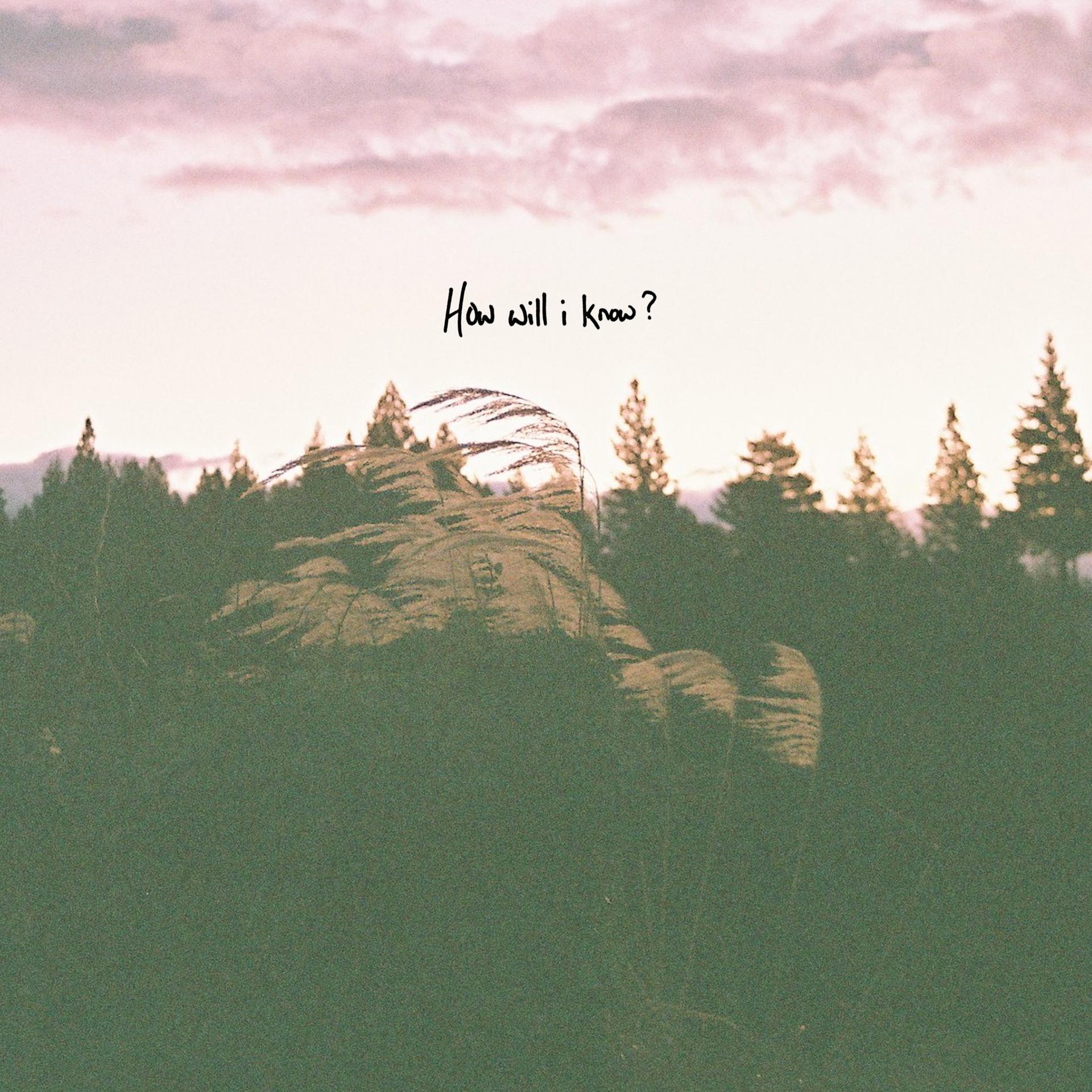 Indie-Folk Singer-Songwriter Riley Pearce Returns With New Single “How ...